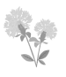 flower-symbol